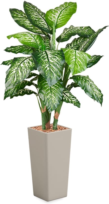 HTT - Kunstplant Dieffenbachia in Clou vierkant taupe H175 cm