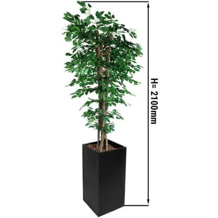 GGM Gastro Kunstpflanze "Ficus" - 210cm - mit Topf Groen