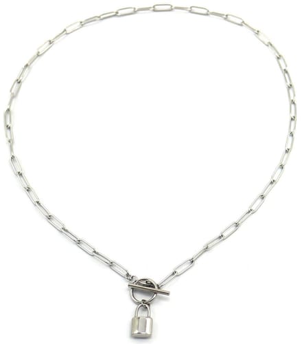 Ketting met Hangslot - RVS - Lengte 50 cm - Zilverkleurig