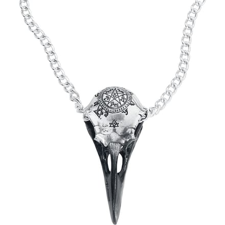 Alchemy Gothic - Gothic Halsketting - Volvan Raven Skull - zilverkleurig