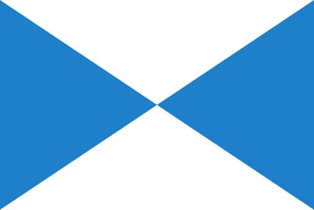 Vlag Halle 200x300cm