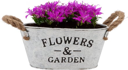 DK Design Plantenpot/bloempot teil Jardin- zink - wit - L21 x D13 x H10 cm