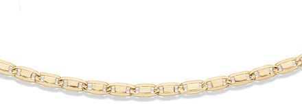 Gouden Valkenoog Collier 585