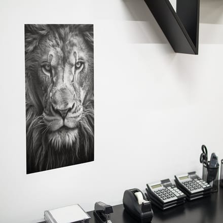 Poster Leeuw zwart-wit, A0 Synaps posterpapier