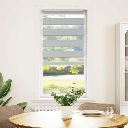 vidaXL - Zebra - rolgordijn - 60x100 - cm - stofbreedte - 55,9 - cm - lichtgrijs