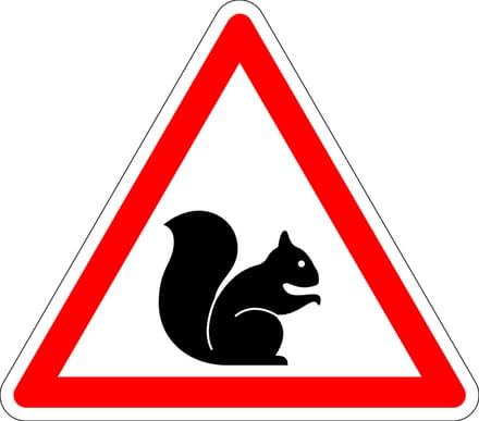 Pas op voor eekhoorn sticker 400 mm