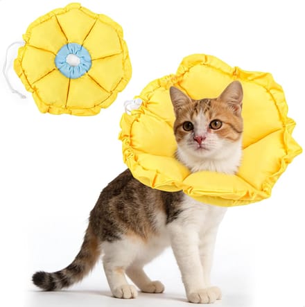 Solidchoice - Verstelbare Waterdichte Kattenkraag voor Herstel (Geel, M)