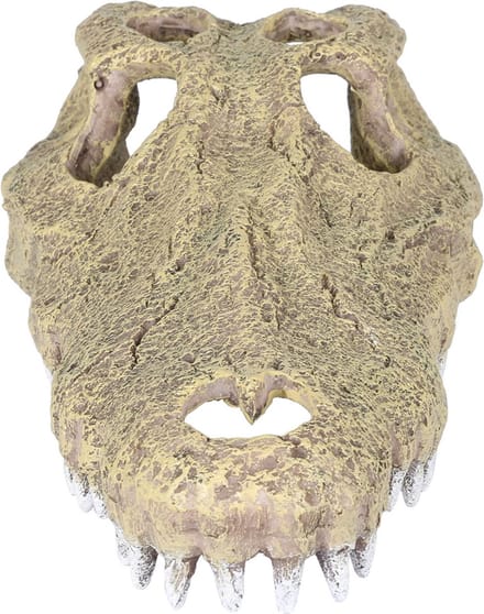 Aqua Della Krokodil Schedel - Aquarium - Ornament - 28.5x14.5x8 cm