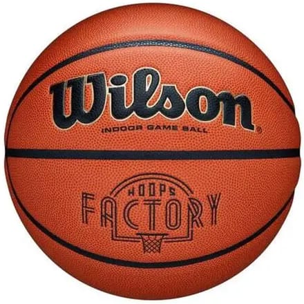 Basketbal Wilson Evolution Hoops Factory