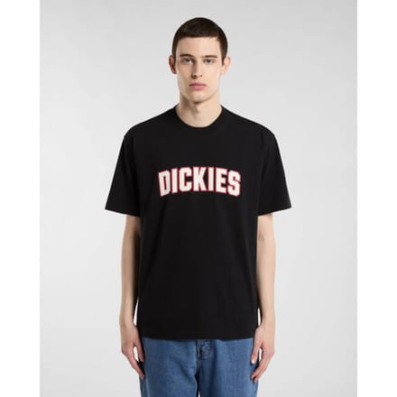 Dickies Aitkin T-shirt Met Korte Mouwen Zwart S Man