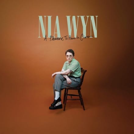 Nia Wyn - A Pleasure To Have In Class (LP)