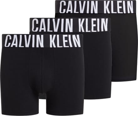 Calvin Klein Boxer Briefs (3-pack) - heren boxers extra lang - zwart