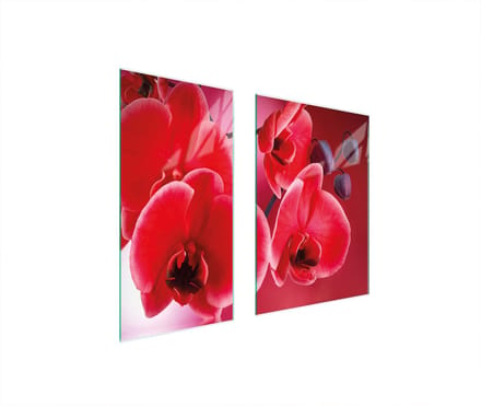 TMK ArtDeko - Snijplank - Glas - 75x52 cm - Orchidea