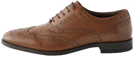 Next - Heren - Leren Oxford-brogues met brede pasvorm - Bruin