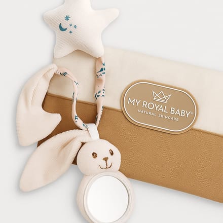 MyRoyalKids® Baby Bag Organizer