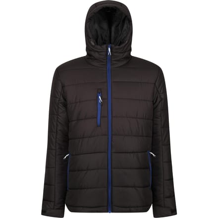Regatta Thermisch gewatteerd jack voor heren (Zwart/Nieuw Royal)