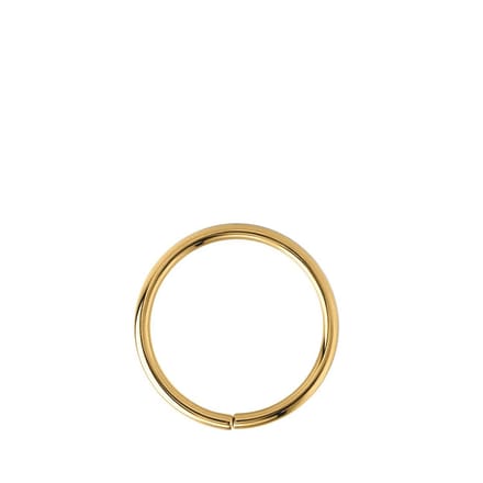 Lucardi Dames helixpiercing goldplated ring - Piercing - Cadeau - Staal - Goudkleurig