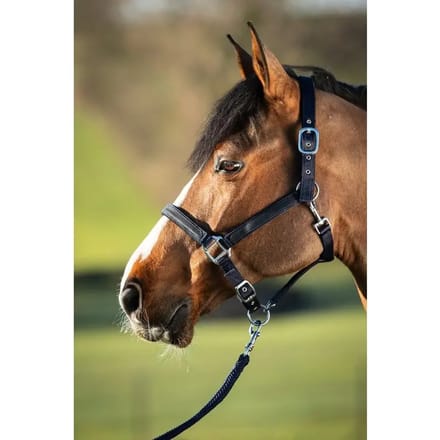 Halster voor paarden HFI First