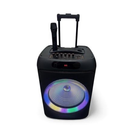 Mobiel geluidssysteem 600W (ingebouwde accu)