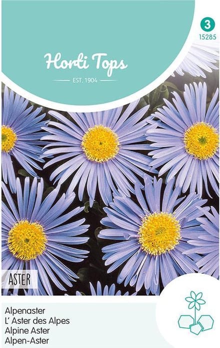 Aster Bloemzaad -  Alpinus - Lichtblauw