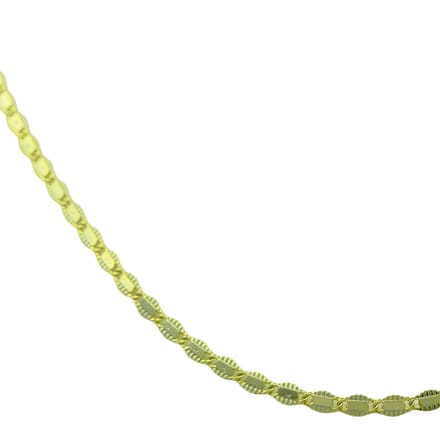 Falconey Chain Necklace