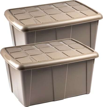 Plasticforte Opbergbox met deksel - 2x - Beige - 60L - kunststof - 63 x 46 x 32 cm