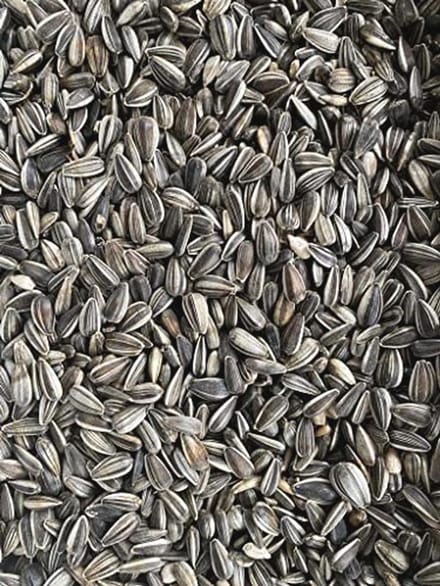Heinrichs Agrar Zonnebloempitten gestreept, vogelvoer, 25 kg
