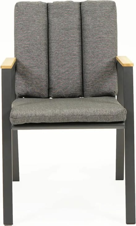 Stapelstoel Kunststof Leather Fauteuil Antraciet
