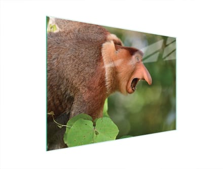 TMK ArtDeko - Snijplank van Geh. Glas - 40x30 cm - UV Print - Antislip