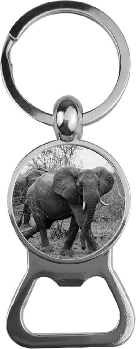 Bieropener Glas - Olifant