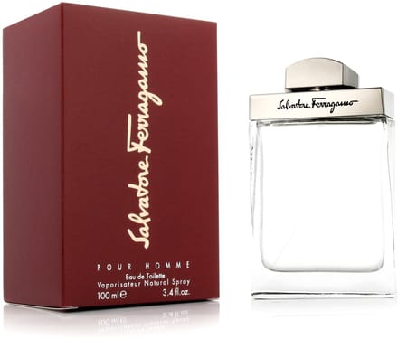 Salvatore ferragamo pour homme - 100 ml - eau de toilette