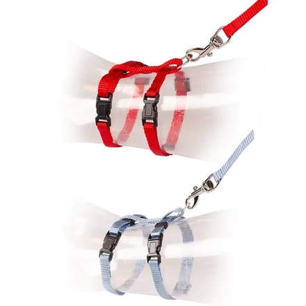 Duvo+ Kitten Wandelset Uni 15-25cm / 8mm-125cm