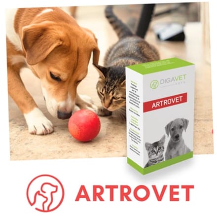 ARTROVET