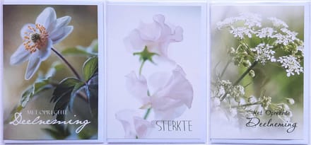 3 Wenskaarten - Sterkte + 2 x Met Oprechte Deelneming - 12 x 17 cm – CON-305