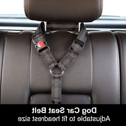 Autogordel Hond - Hondenriem Auto - Veilig Reizen - Elastische Buffer - Verstelbaar - Zwart