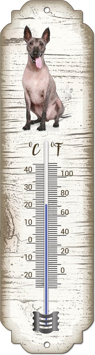 Thermometer: Mexicaanse Naakthond | Hondenras | Temperatuur binnen en buiten | -25 tot +45C