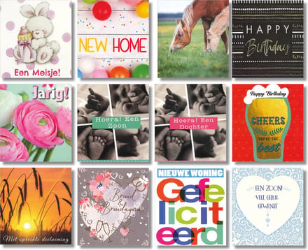 MGPcards - 12 Dubbele wenskaarten met witte envelop - Mix - Diversen - 11 x 12 cm