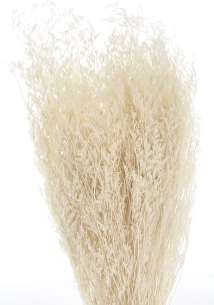 Boeket van gedroogde bloemen Artemio
