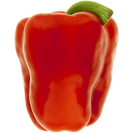 Paprika rood