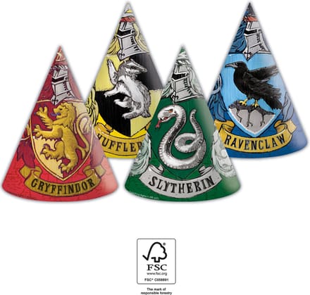 6x feesthoedje Harry potter - Feestdecoratie Karton -