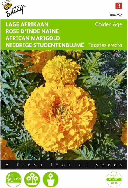 2 stuks Tagetes, lage Afrikaan Golden Age