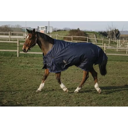 Outdoor paardendeken Equithème Classic 600D 0 g