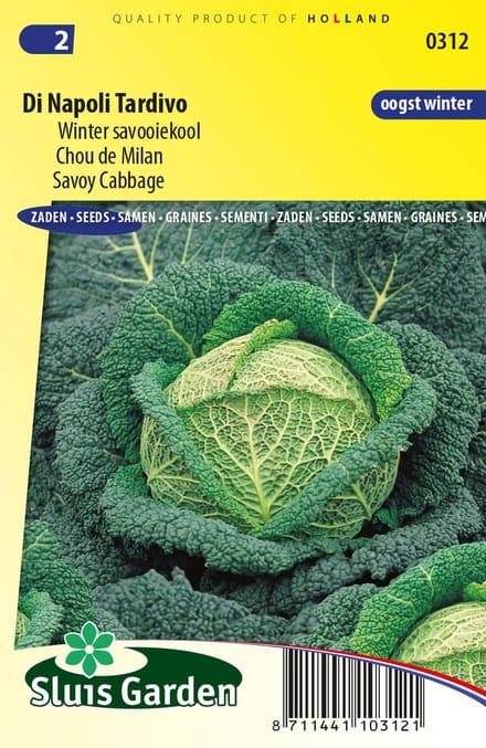 Savooiekool (Brassica oleracea convar. capitata var. sabauda) - Winter Di Napoli Tardivo - Moestuin