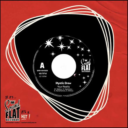 Mystic Brew - Your Reality (7" Single)