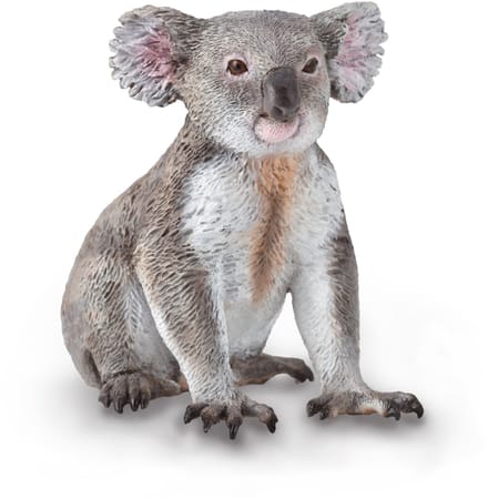 COLLECTA Figurine - Koala - (M) - Wilde Dieren - Handgeschilderd - Miniatuur