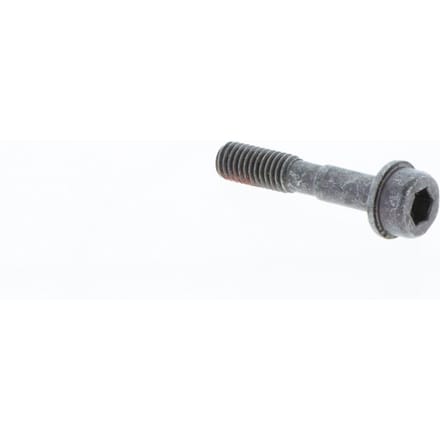 Screw