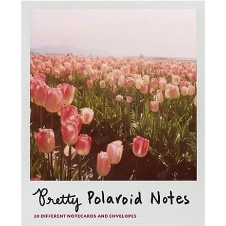 Pretty Polaroid Notes - Chronicle Books