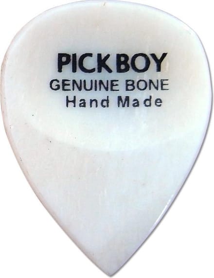 Plectrum Exotic Benen GPBN-1 Pickboy