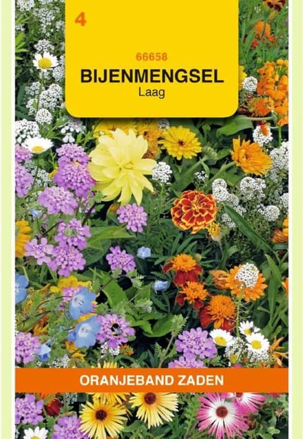 Oranjebandzaden -  Bijen mengsel - 5m2