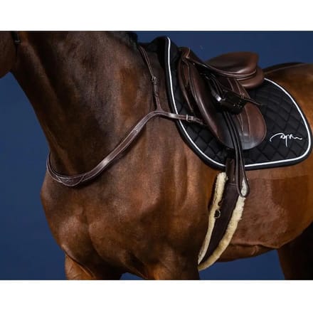 Jachthalsbanden en martingales voor paarden Dy'on